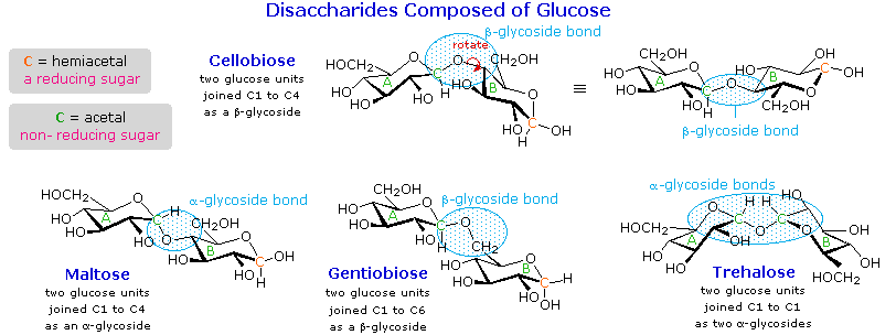 Virtual Textbook: Biomolecules — Carbohydrates, figure 18