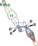 Virtual Textbook: Alkyl Halide Reactivity — Alkyl Halide Reactivity 3, figure 8