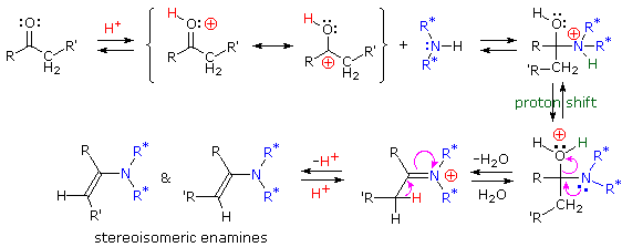 Enamine formation mechanism: aldehyde plus secondary amine via iminium and proton shift to stereoisomeric enamines