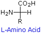 Virtual Textbook: Biomolecules — Amino Acids, figure 3
