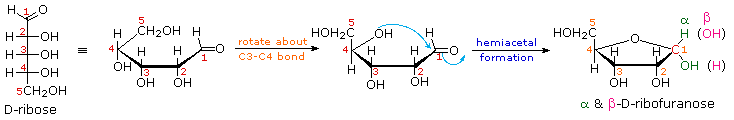 Virtual Textbook: Biomolecules — Carbohydrates, figure 15