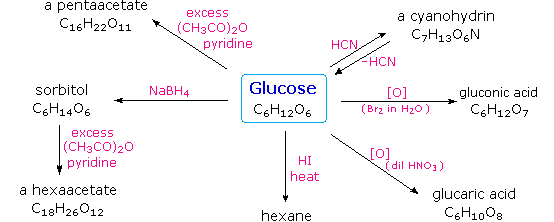 Virtual Textbook: Biomolecules — Carbohydrates, figure 2