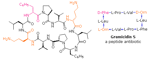 Virtual Textbook: Biomolecules — Peptides and Proteins, figure 15