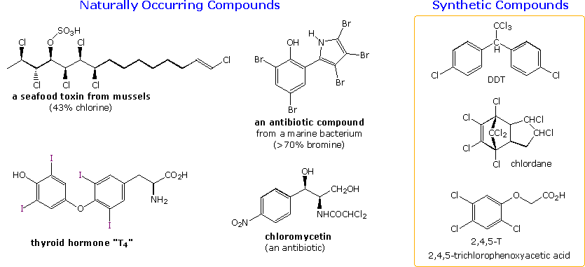 Virtual Textbook: Alkyl Halide Reactivity — Alkyl Halide Reactivity 1, figure 1