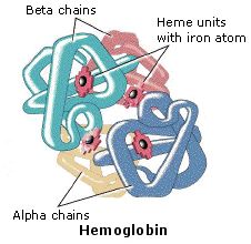 Virtual Textbook: Biomolecules — Peptides and Proteins, figure 27