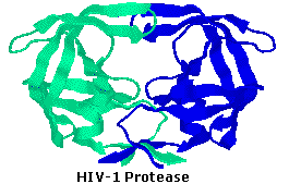Virtual Textbook: Biomolecules — Peptides and Proteins, figure 30