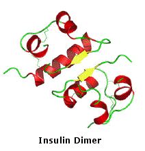 Virtual Textbook: Biomolecules — Peptides and Proteins, figure 28