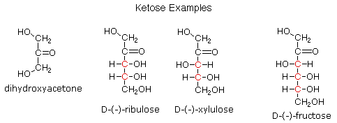 Virtual Textbook: Biomolecules — Carbohydrates, figure 11