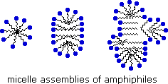 Virtual Textbook: Biomolecules — Lipids, figure 8