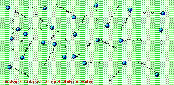 Virtual Textbook: Biomolecules — Lipids, figure 9