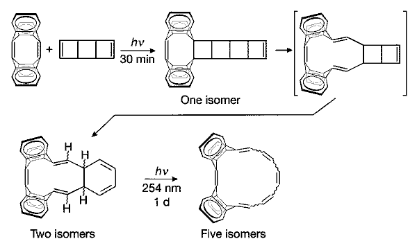 Virtual Textbook: Mobius 16 pi Electron System — Mobius 16 pi Electron System, figure 4