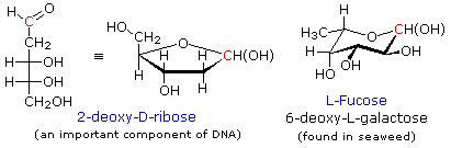 Virtual Textbook: Biomolecules — Carbohydrates Additional Info, figure 8