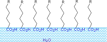 Virtual Textbook: Biomolecules — Lipids, figure 6