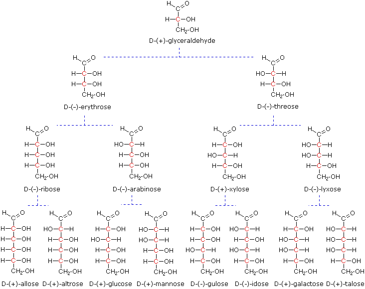 Virtual Textbook: Biomolecules — Carbohydrates, figure 3