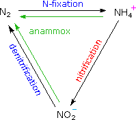 Virtual Textbook: Supplementary Topics 12 — Supplementary Topics 12, figure 13