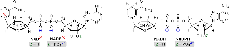 Virtual Textbook: Supplementary Topics 15 — Supplementary Topics 15, figure 2