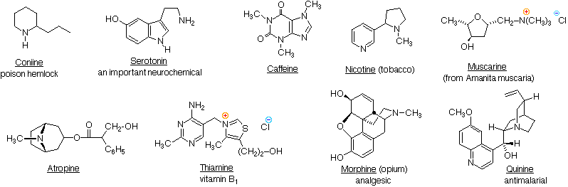 Virtual Textbook: Amine Reactivity — Amine Reactivity 1, figure 2