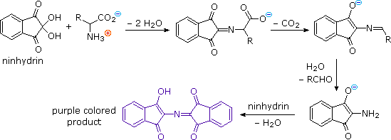 Virtual Textbook: Biomolecules — Amino Acids, figure 13