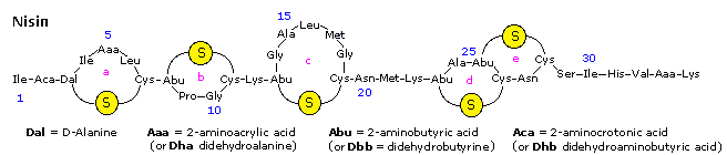 Virtual Textbook: Biomolecules — Nucleic Acids, figure 21