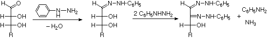 Virtual Textbook: Biomolecules — Carbohydrates, figure 6