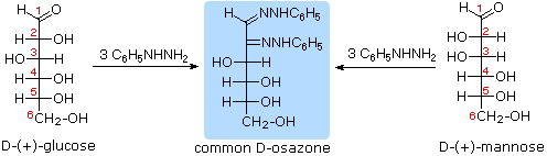 Virtual Textbook: Biomolecules — Carbohydrates, figure 7