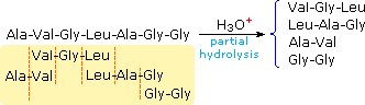 Virtual Textbook: Biomolecules — Peptides and Proteins, figure 9