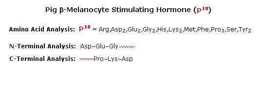 Virtual Textbook: Biomolecules — Peptides and Proteins, figure 14