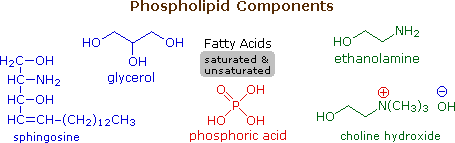Virtual Textbook: Biomolecules — Lipids, figure 11