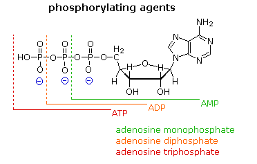 Virtual Textbook: Supplementary Topics 15 — Supplementary Topics 15, figure 3