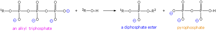 Virtual Textbook: Biomolecules — Nucleic Acids, figure 10