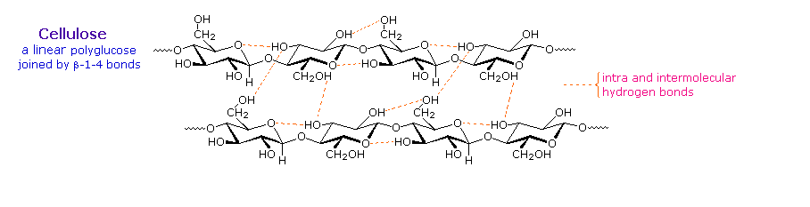 Virtual Textbook: Biomolecules — Carbohydrates, figure 19
