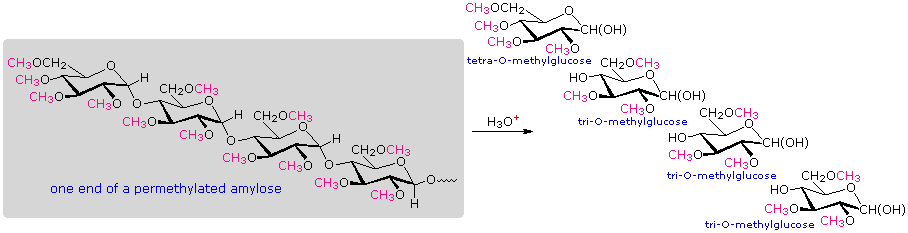 Virtual Textbook: Biomolecules — Carbohydrates Additional Info, figure 2