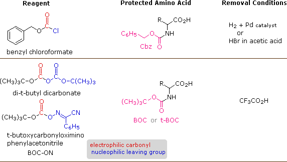 Virtual Textbook: Biomolecules — Peptides and Proteins, figure 33
