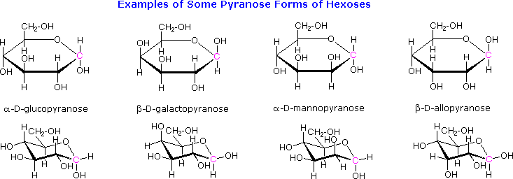 Virtual Textbook: Biomolecules — Carbohydrates, figure 16