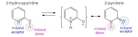 Virtual Textbook: Biomolecules — Nucleic Acids, figure 5