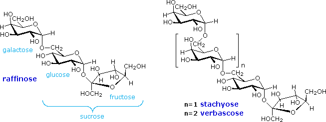 Virtual Textbook: Biomolecules — Carbohydrates Additional Info, figure 13