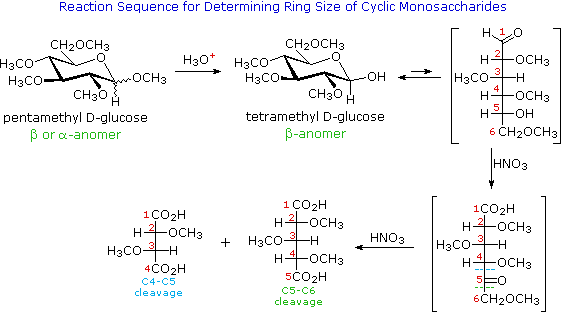 Virtual Textbook: Biomolecules — Carbohydrates Additional Info, figure 1