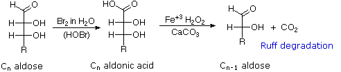 Virtual Textbook: Biomolecules — Carbohydrates, figure 8