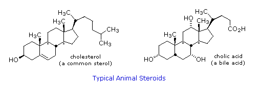 Virtual Textbook: Biomolecules — Lipids, figure 17