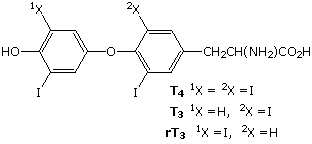Virtual Textbook: Biomolecules — Nucleic Acids, figure 19