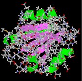 Virtual Textbook: Biomolecules — Peptides and Proteins, figure 25
