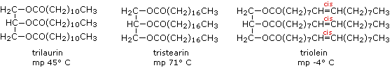 Virtual Textbook: Biomolecules — Lipids, figure 10