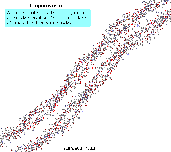 Virtual Textbook: Biomolecules — Peptides and Proteins, figure 31