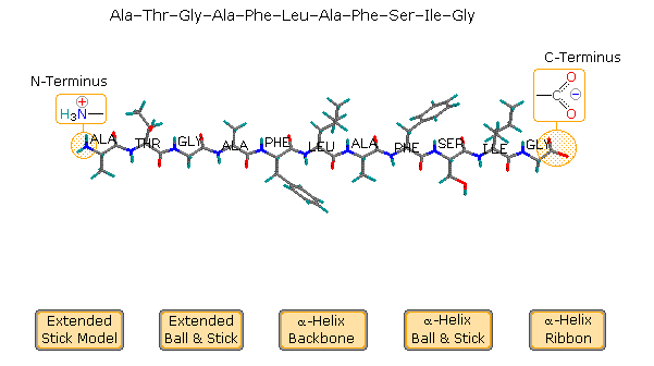 Virtual Textbook: Biomolecules — Peptides and Proteins, figure 17