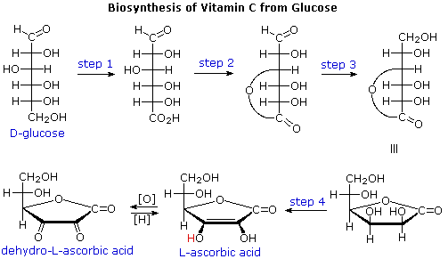 Virtual Textbook: Biomolecules — Carbohydrates Additional Info, figure 9
