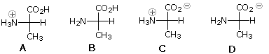 Four ionization states of alanine labeled A-D: cation, neutral, zwitterion, anion