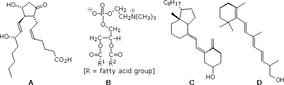 Four structures labeled A-D: prostaglandin, phospholipid, steroid-derived, and vitamin A polyene