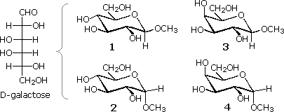 D-galactose Fischer projection beside four pyranose ring forms 1-4, choices for methyl alpha-D-galactopyranoside