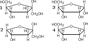 Four furanose ring structures labeled 1-4, choices for a beta-aldopentafuranose