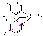 Virtual Textbook: Practice Problems — Assigning CIP Notation 3 - Morphine, figure 1